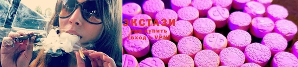 ECSTASY Гусев